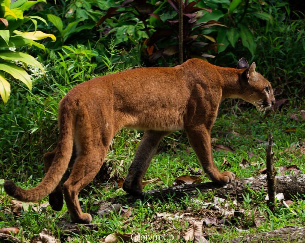 Instagram post from pacificexpeditions. This post is in position 1.