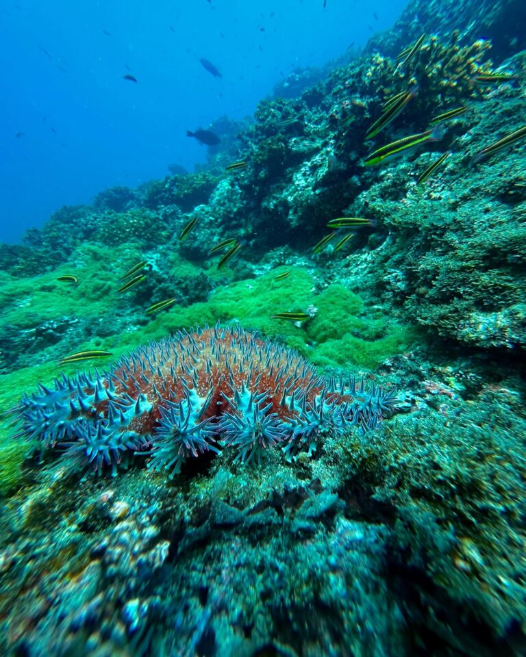 Instagram post from pacificexpeditions. This post is in position 4.