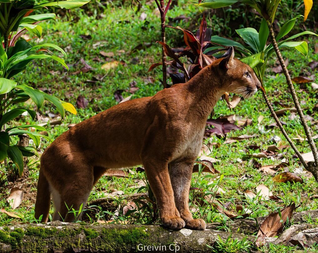 Instagram post from pacificexpeditions. This post is in position 0.