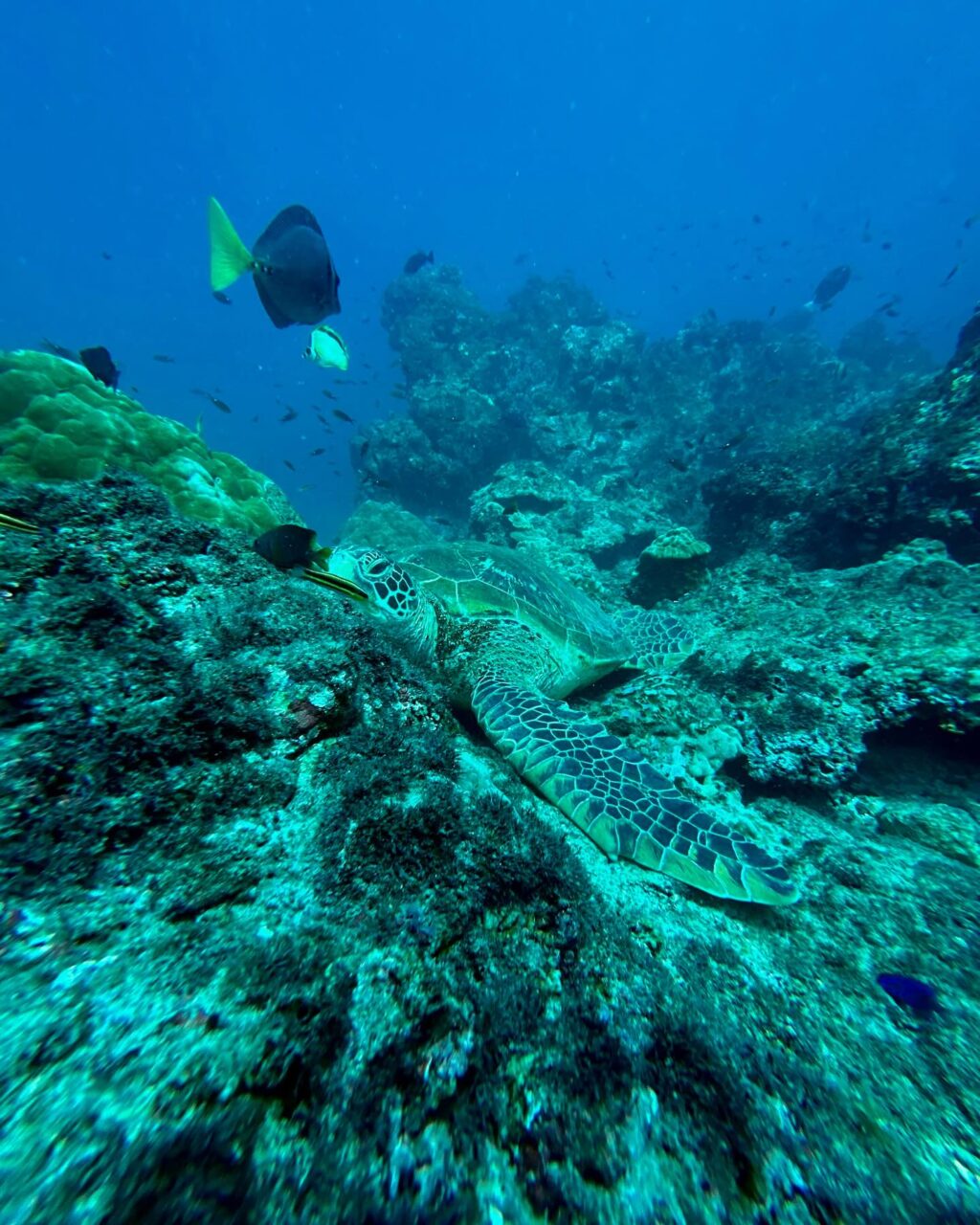 Instagram post from pacificexpeditions. This post is in position 7.