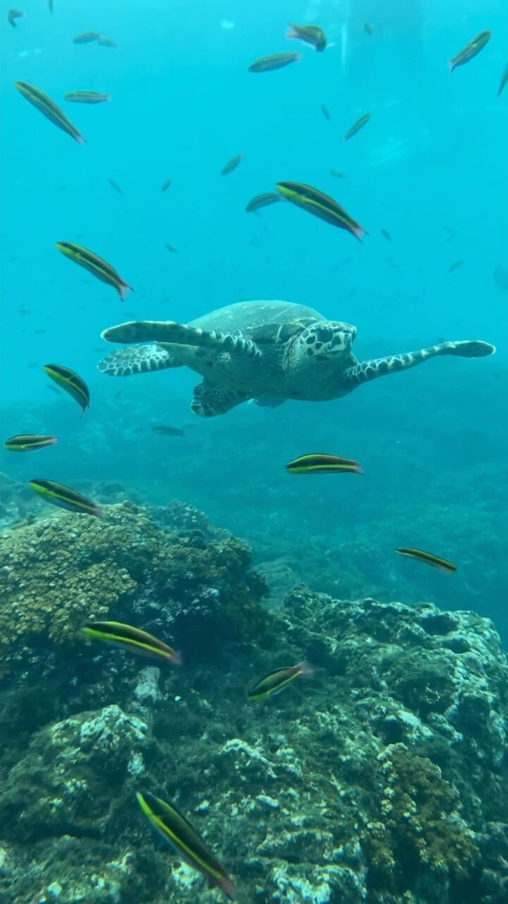 Instagram post from pacificexpeditions. This post is in position 5.
