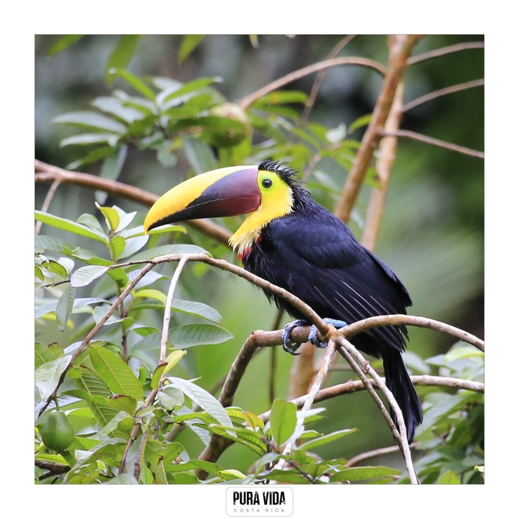 Instagram post from pacificexpeditions. This post is in position 0.