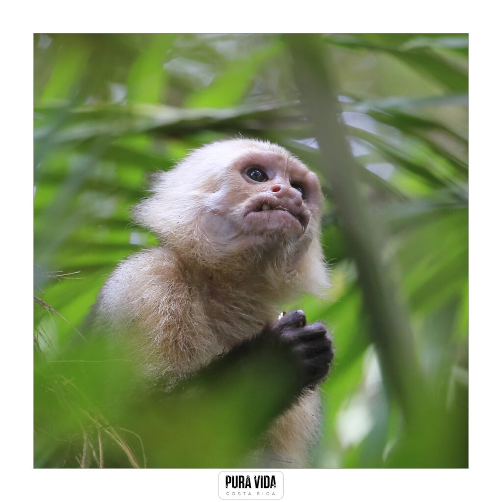 Instagram post from pacificexpeditions. This post is in position 4.