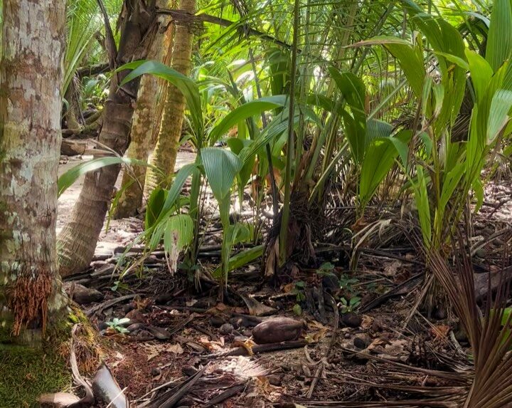 Instagram post from pacificexpeditions. This post is in position 2.