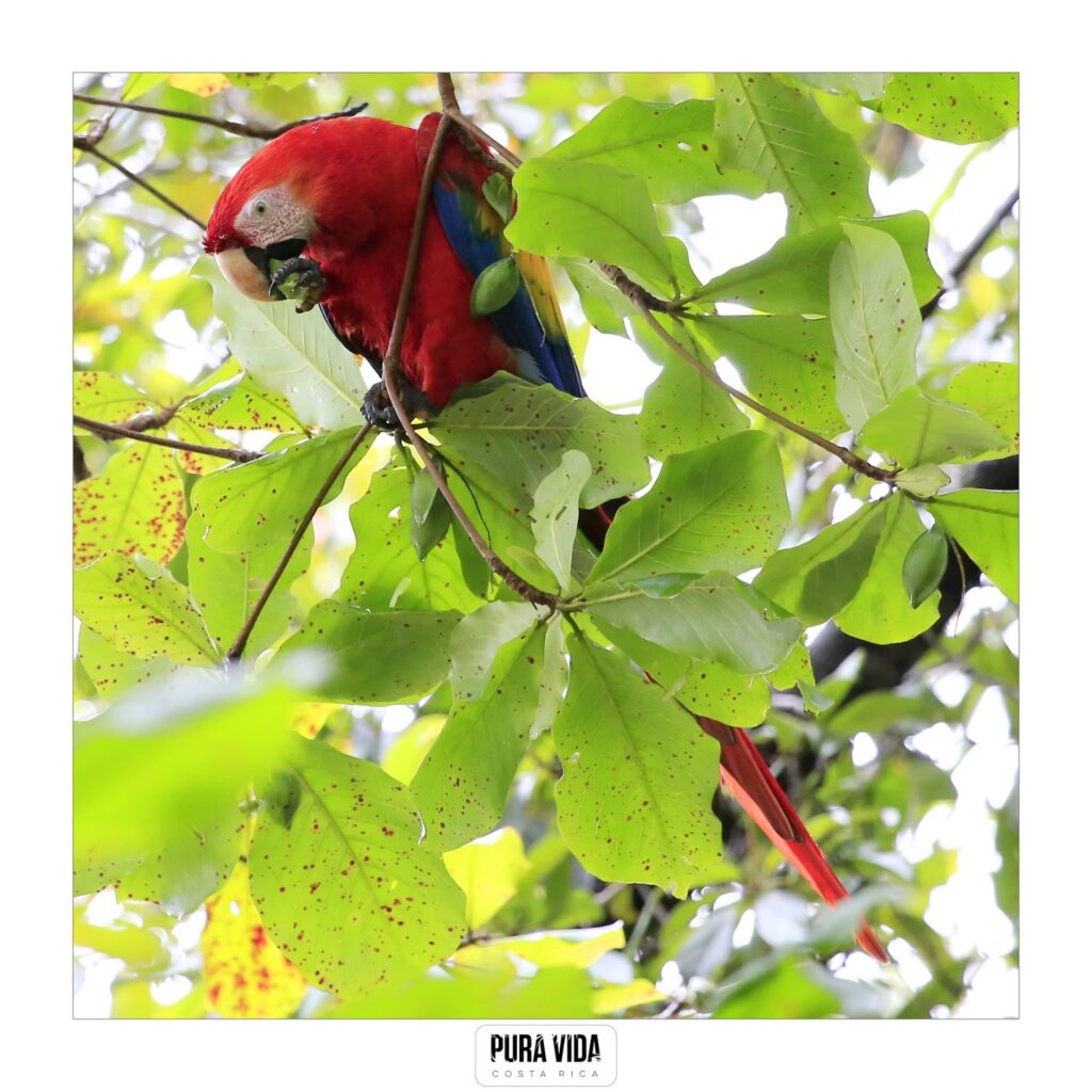 Instagram post from pacificexpeditions. This post is in position 7.