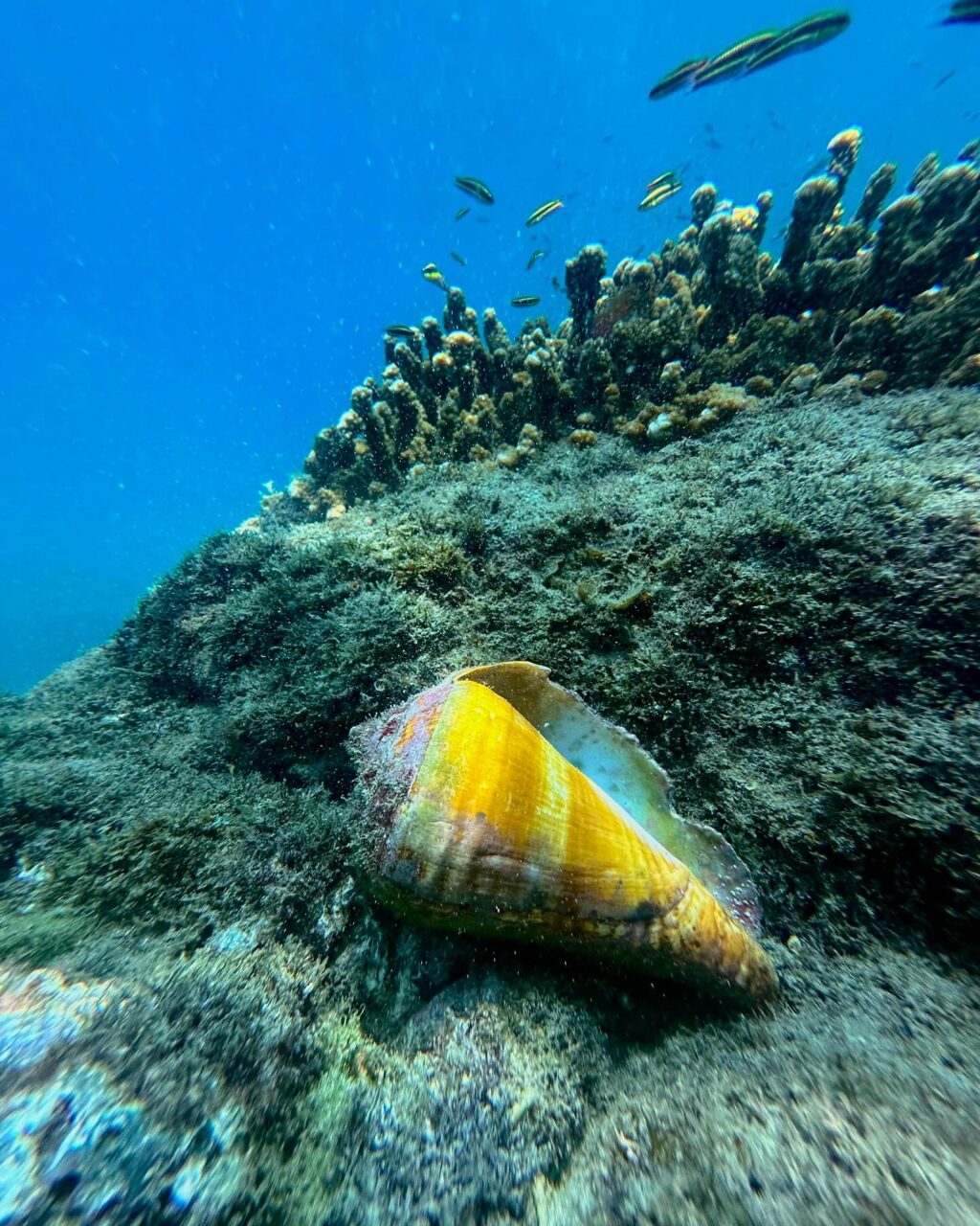 Instagram post from pacificexpeditions. This post is in position 2.