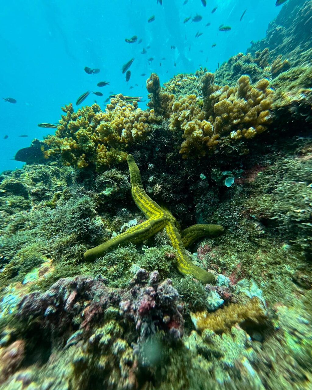 Instagram post from pacificexpeditions. This post is in position 3.