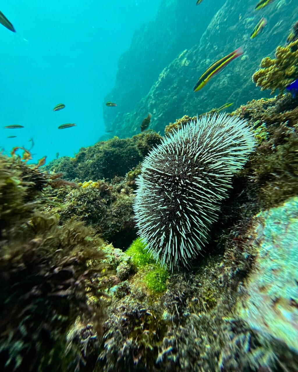 Instagram post from pacificexpeditions. This post is in position 6.