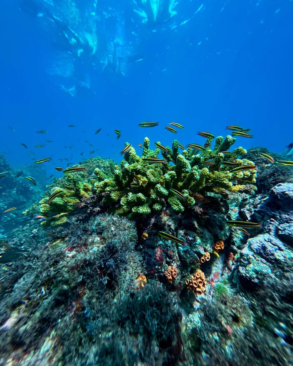 Instagram post from pacificexpeditions. This post is in position 5.